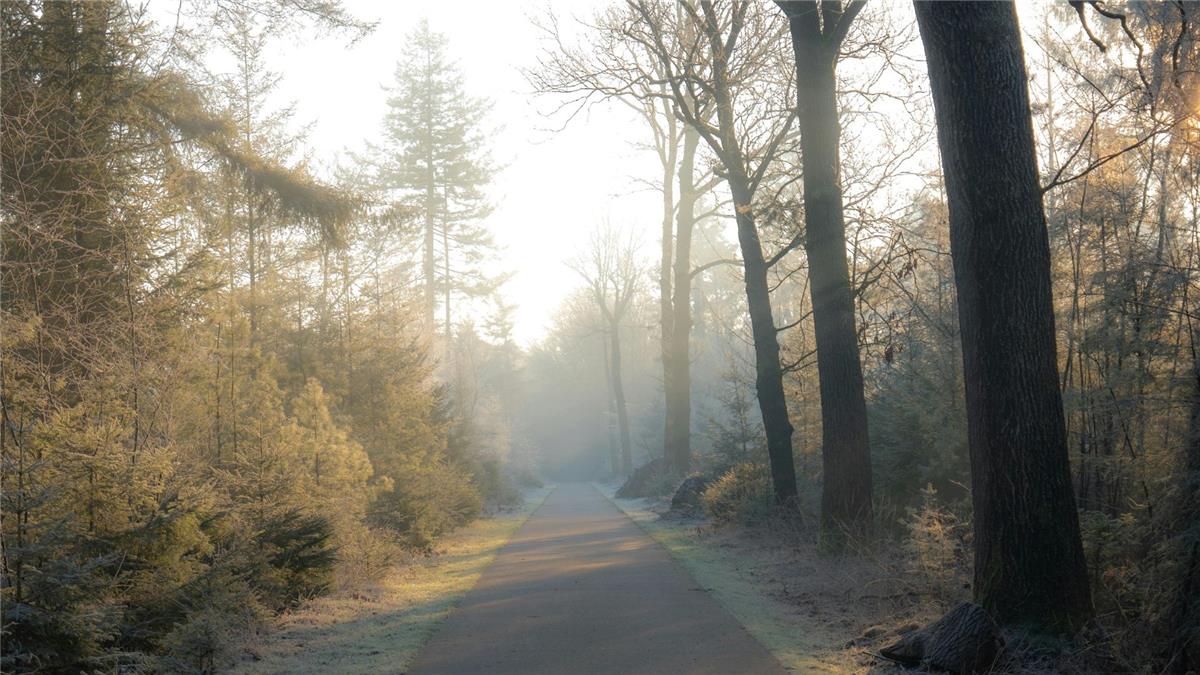 Waarom fietsen de perfecte wintertraining is